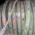 Изображение: Светодиодная лента SMD 5630 96 (2 led) IP67 220В белый/холодный-белый