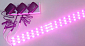 Дополнительное изображение: Светодиодная фитолинейка 24led 24Вт 990мм