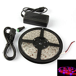 Изображение: Светодиодная фитолента SMD5050 60 led 4R+1B IP20 12В