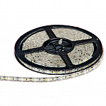 Изображение: Светодиодная лента SMD 2835 120 led IP65 12В синий